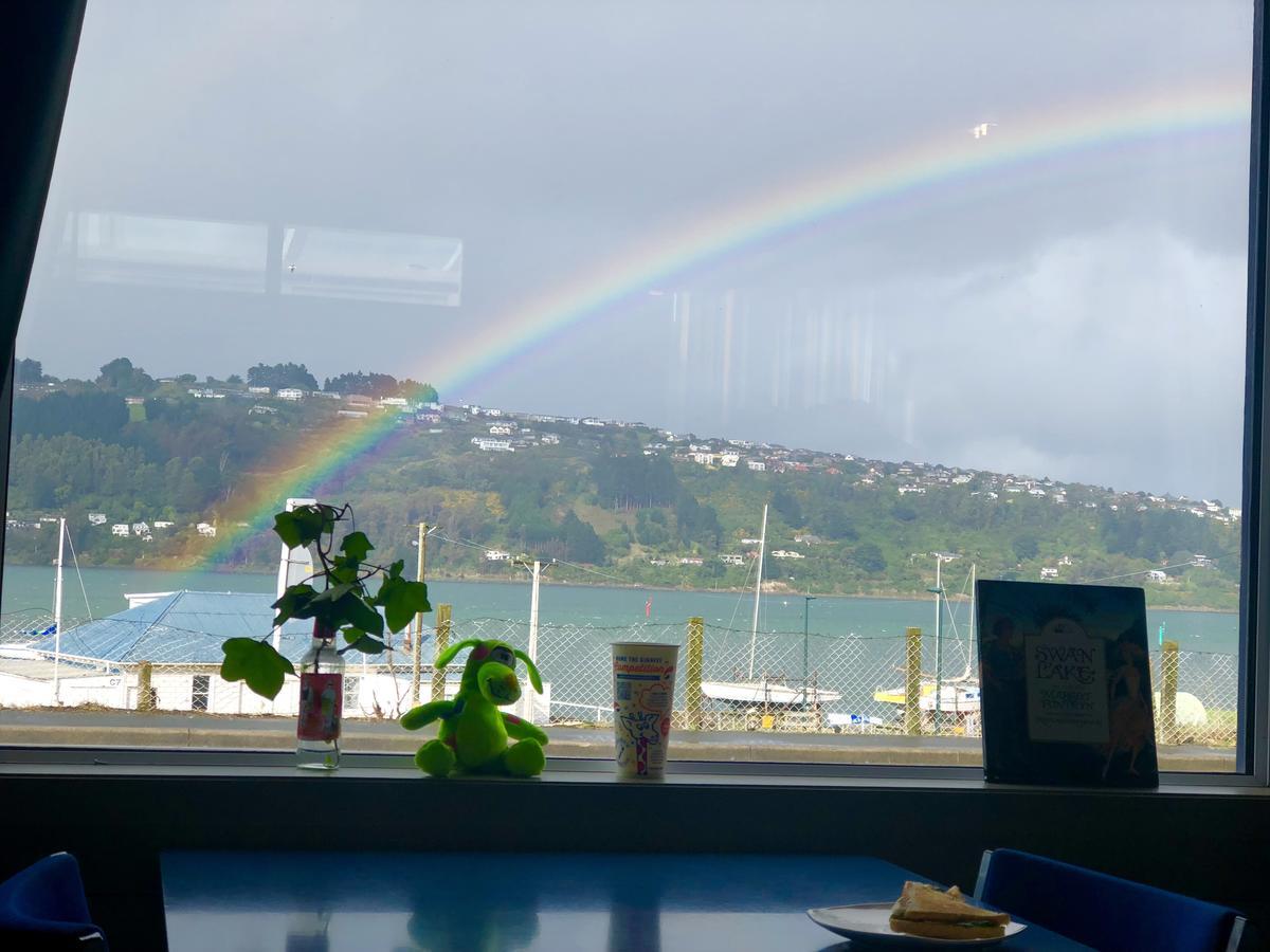 Harbourview Stadium Hotel Dunedin Extérieur photo
